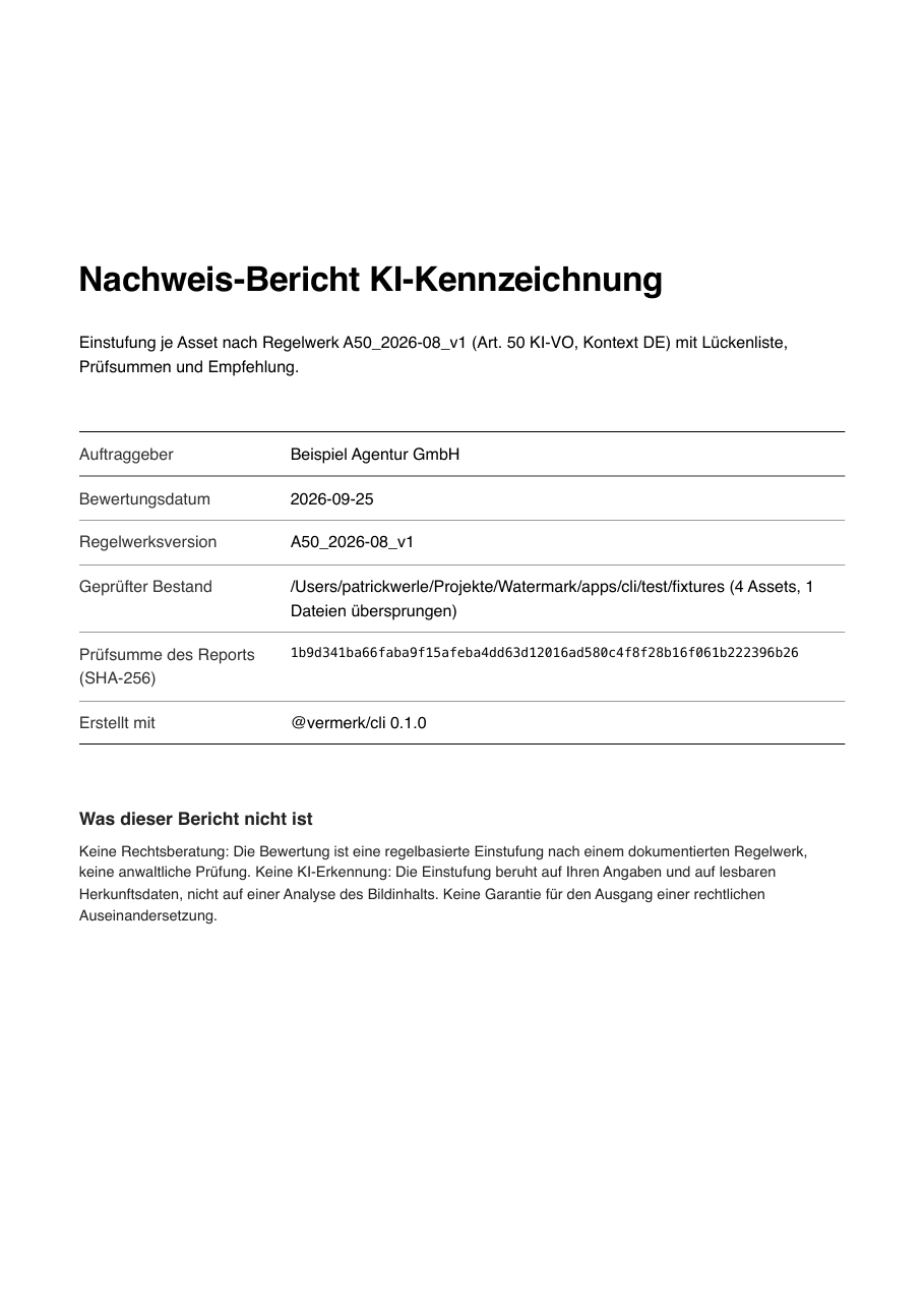 Erste Seite des Beispiel-Nachweises: Audit-Bericht mit Einstufungen und Regel-IDs